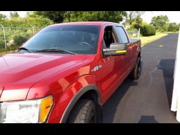 2010 FORD F-150  